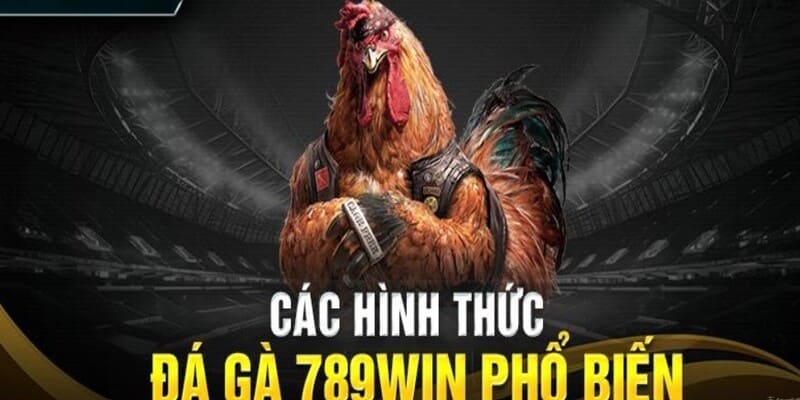 Top các hình thức đá gà 789WIN đang hot hit nhất